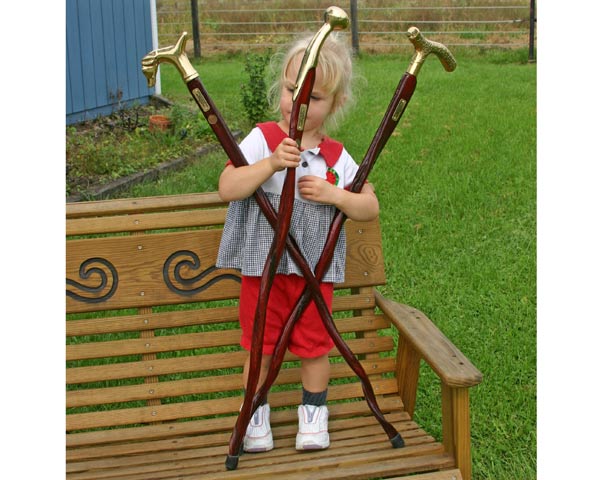 thumbnail image 2 of Unique Handmade Walking Stick Cane From Bull Sex Organ With Elk Horn Crown - Brown 2 of 6