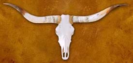 Example of Fake Texas Longhorn Skull with rope hiding evidence
