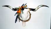 Longhorn skull_s