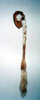 Texas Longhorn Taxidermy Tail Mount - tail_mount2_s