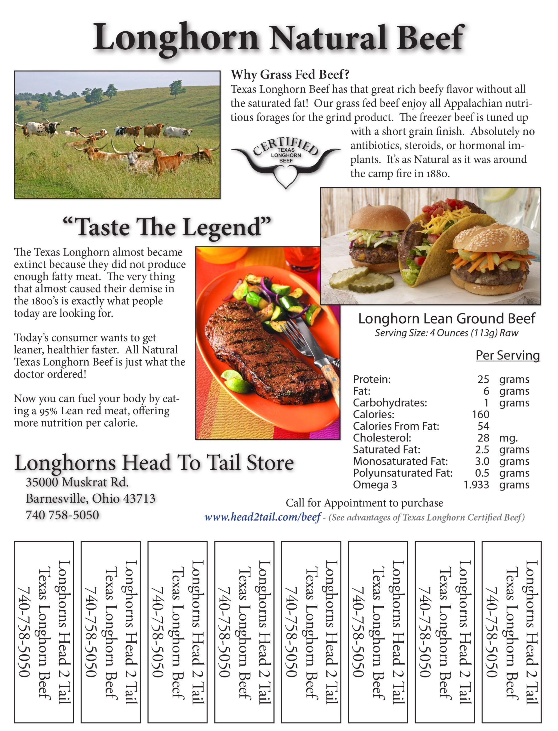 Longhorns Head To Tail Store – The Longhorn Store