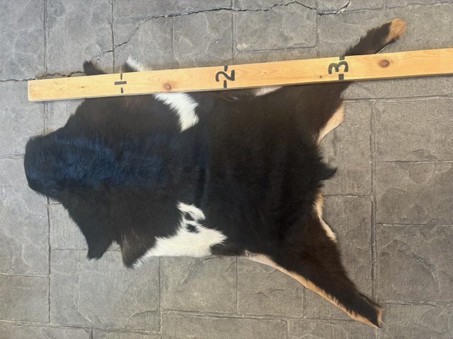 Goat Hide  GH- #12