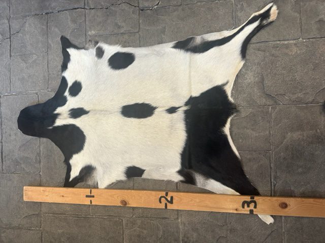 Goat Hide  GH- #09