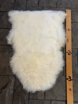 Sheep Hide - SH-1 White