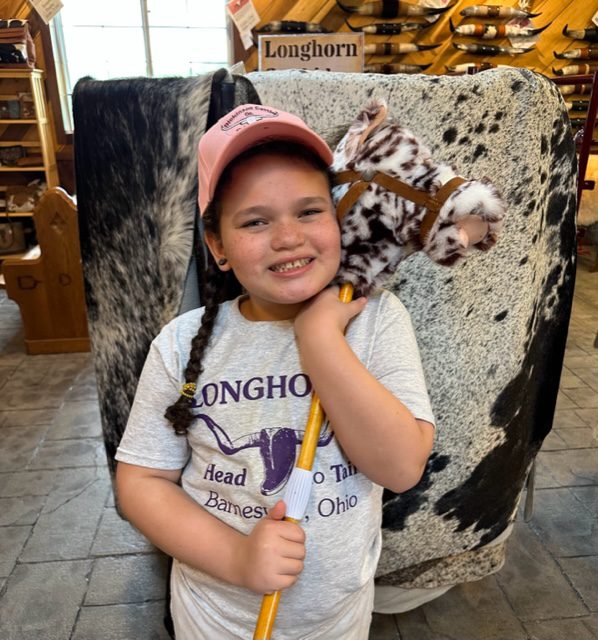 Stick Horse "Appaloosa"  SHA-2