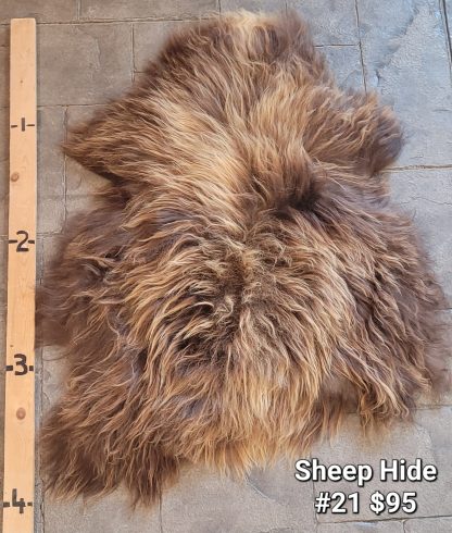 Sheep Hide - SH #21