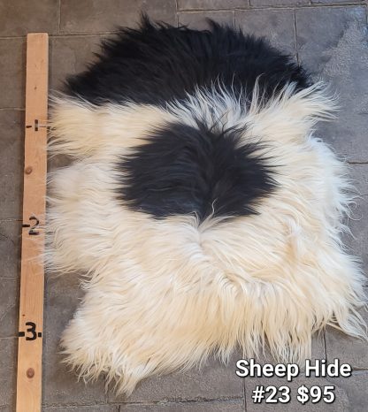 Sheep Hide - SH #23