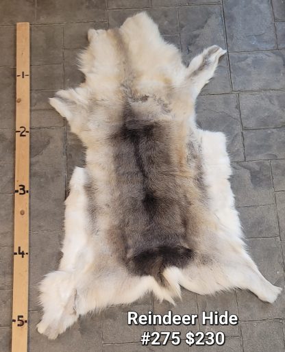 Reindeer Hide #275