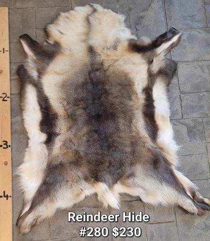 Reindeer Hide #280