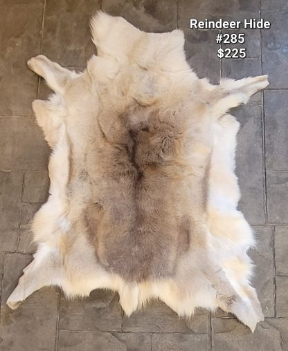 Reindeer Hide #285