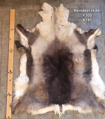 Reindeer Hide #300