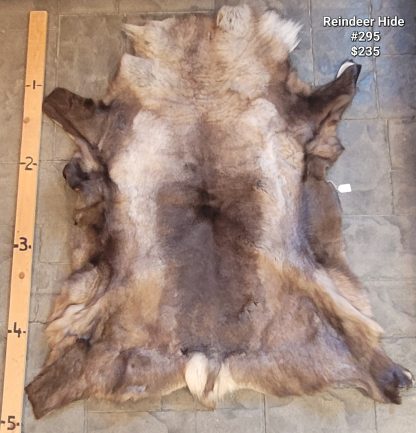 Reindeer Hide #295