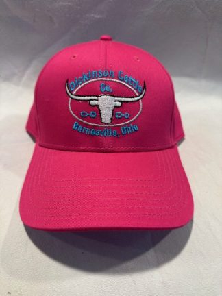 Ball Cap Pink DCCI Hat