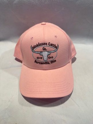 Ball Cap Pale Pink DCCI Hat