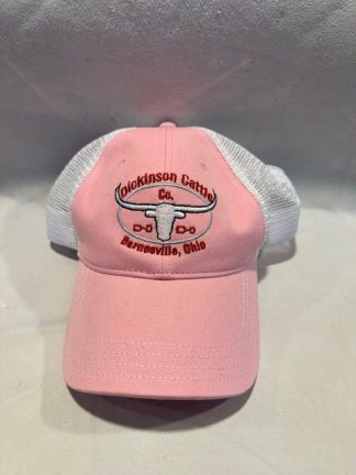Ball Cap Pale Pink Mesh Back DCCI Hat 3