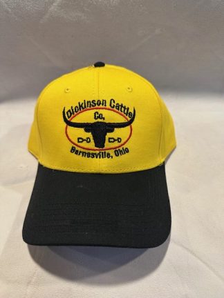 Ball Cap Yellow DCCI Hat 5