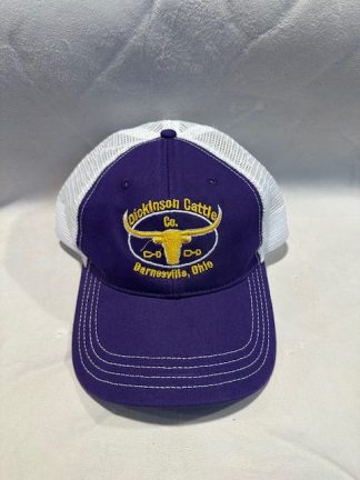 Ball Cap PurpleMesh Back DCCI Hat 4