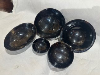 Horn Shell Bowl Set