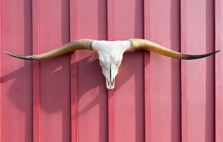 Sneaky Pete - TL Steer Skull #9160