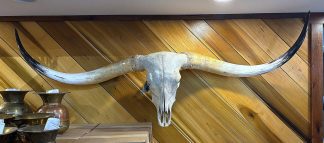 Dusty Ice Steer - TL Steer Skull #9232