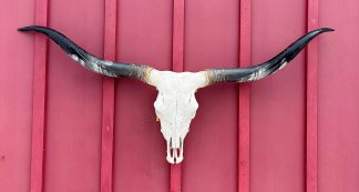 Winning Strike - TL Cow Skull #9229