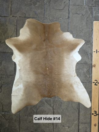 Calf hide Rug  CHD-#14 Brown and White