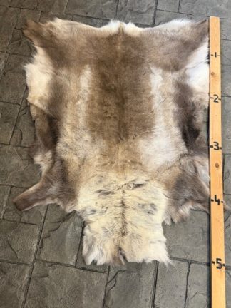 Hide Reindeer RH-2