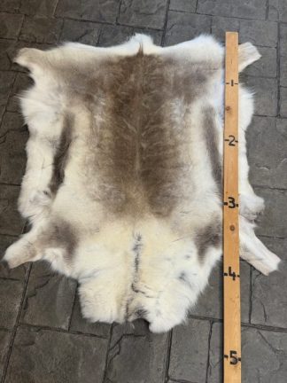 Hide Reindeer RH-3