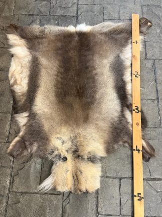 Hide Reindeer RH-4