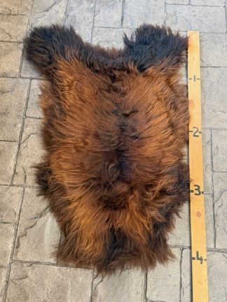 Sheep Hide - SH-3 Brown