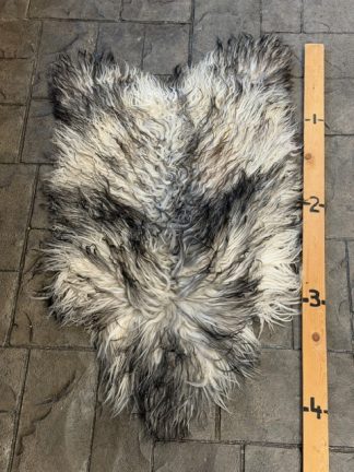 Sheep Hide - SH-5 Gray Tips